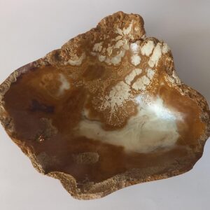 🍵 Tazón Premium: Ónix Talan (Edición Profunda)